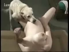 Pregnant woman receives doggy drilled